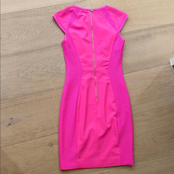 Ted Baker Vibrant Pink Mini Dress - Picture 3 of 3